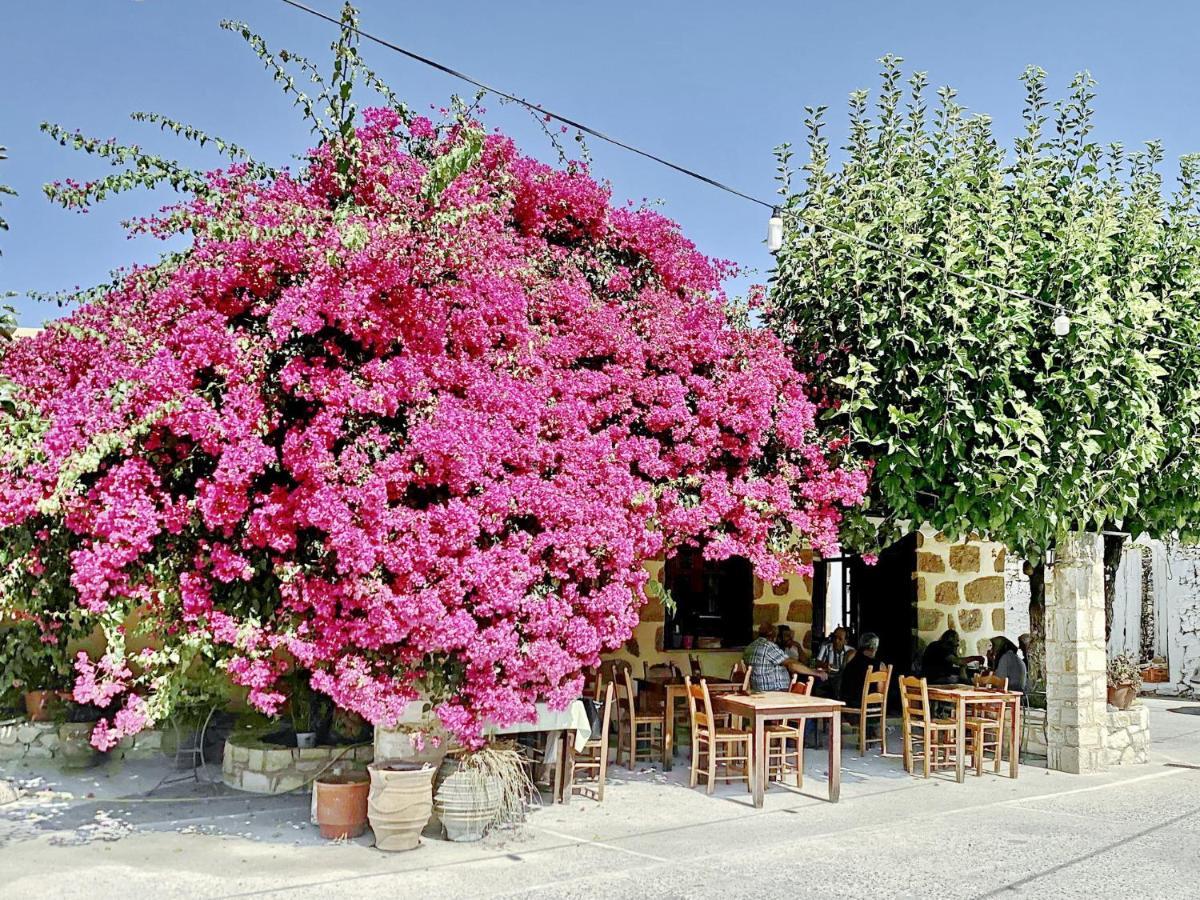 Villa Olivia With Pool Vrises Crete Alikampos Pokoj fotografie